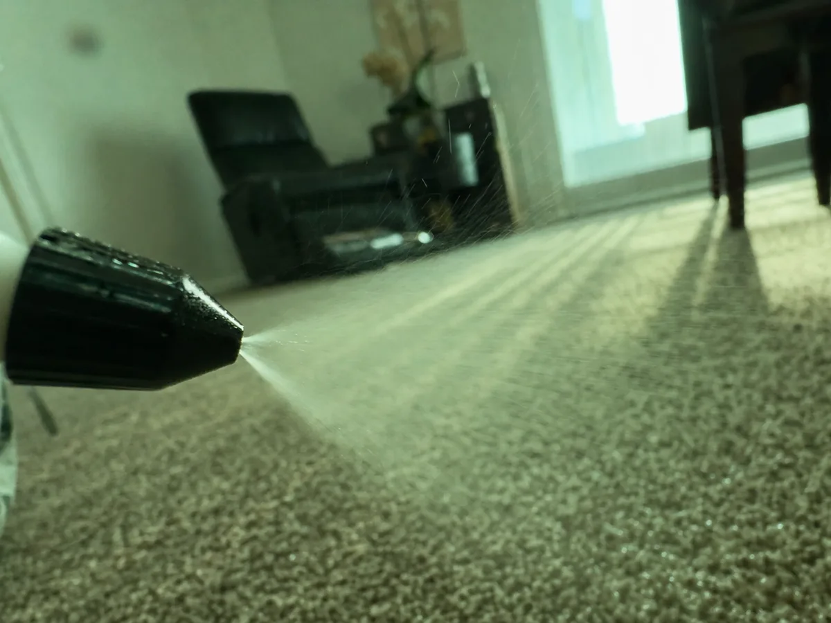 Carpet Deodorizing in West Hills, CA